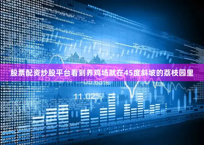 股票配资炒股平台看到养鸡场就在45度斜坡的荔枝园里