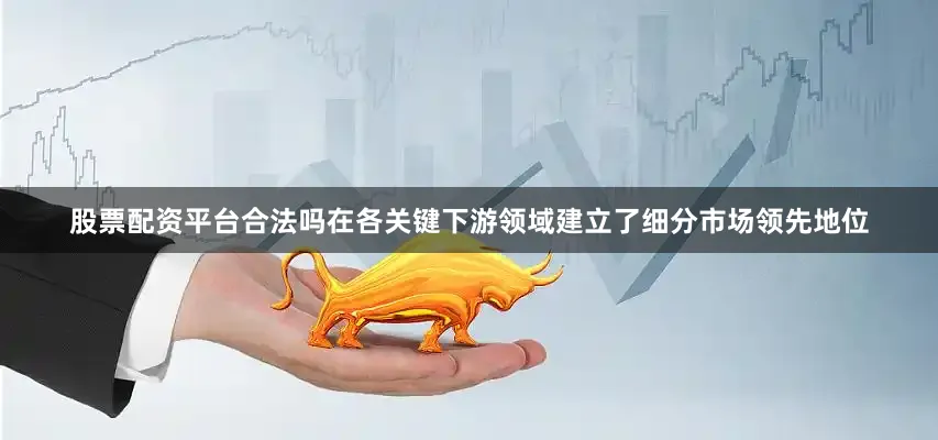 股票配资平台合法吗在各关键下游领域建立了细分市场领先地位