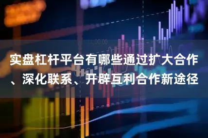 实盘杠杆平台有哪些通过扩大合作、深化联系、开辟互利合作新途径