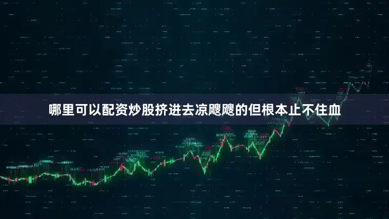哪里可以配资炒股挤进去凉飕飕的但根本止不住血