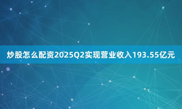 炒股怎么配资2025Q2实现营业收入193.55亿元